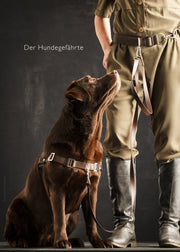 Linen belly belt CHILL + leash CHILL (BioThane®)